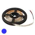  :   RUICHI, 2835, 300 LED, IP33, 12 ,  ,  5  (   1 )