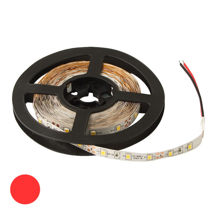   RUICHI, 2835, 300 LED, IP33, 12 ,  ,  5  (   1 )