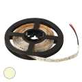  :   RUICHI, 2835, 300 LED, IP33, 12 ,   ,  5  (   1 )