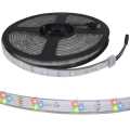  :   RUICHI, 5050, 150 LED, IP68, 12 , RGB,  5  (   1 )