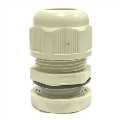  :   RUICHI M(G)25 (10-16) , 