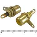  RCA:  RCA RUICHI 7-0234Y GOLD/RS-115G, 50 