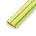  :      RUICHI,   2:1,  24 ,  50 , -