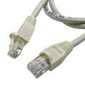  :  RJ-45 UTP Cat5e RUICHI, 1 , 